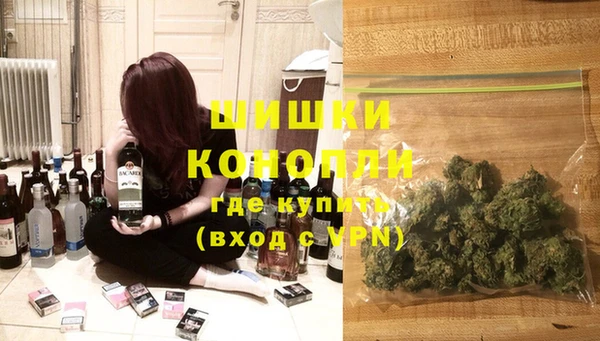 индика Сосновый Бор