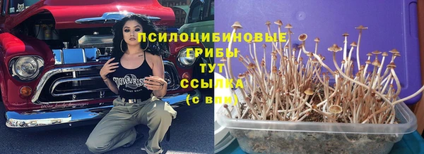 spice Белоозёрский