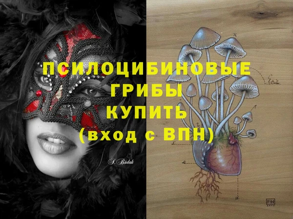 spice Белоозёрский