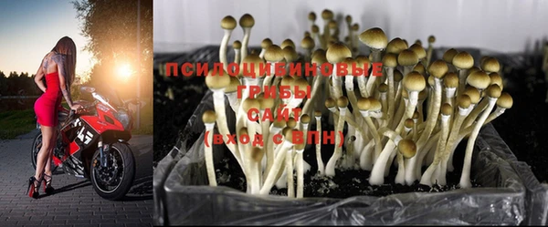 кокаин перу Белокуриха