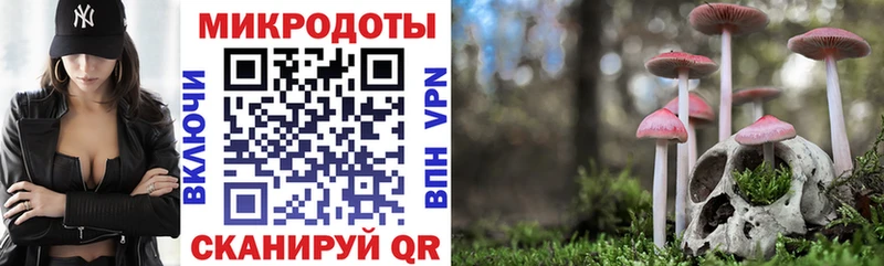 купить закладку  Дигора  Галлюциногенные грибы MAGIC MUSHROOMS 